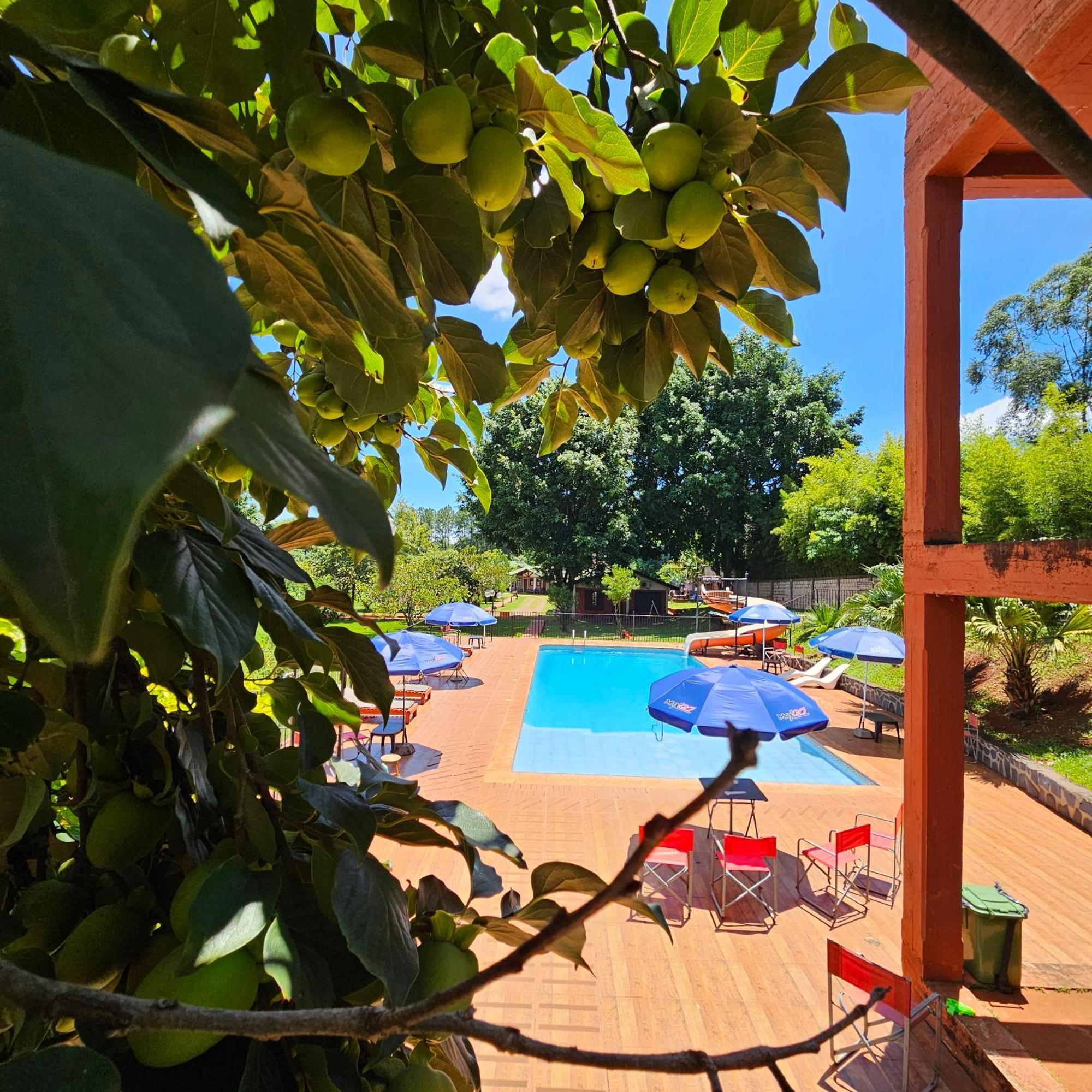 El Refugio Del Mensu Lodge *